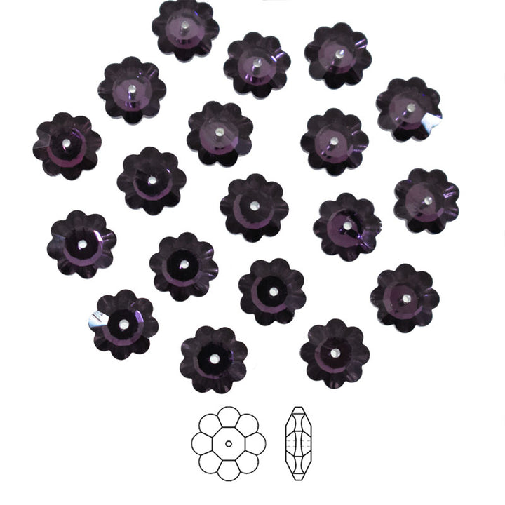 Purple Plum Color Marguerite Lochrose Flower