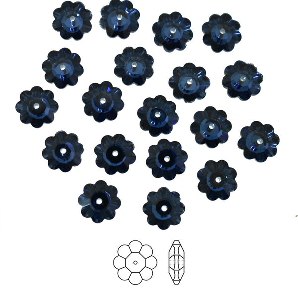  Navy Blue Color Marguerite Lochrose Flower