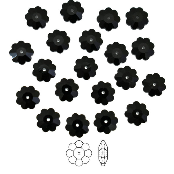 Black Color Marguerite Lochrose Flower
