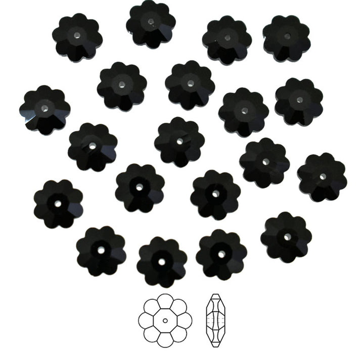 Black Color Marguerite Lochrose Flower