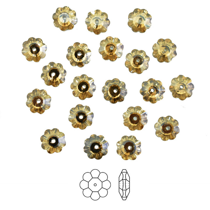 Light Gold Color Marguerite Lochrose Flower