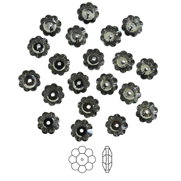 Black Diamond Color Marguerite Lochrose Flower