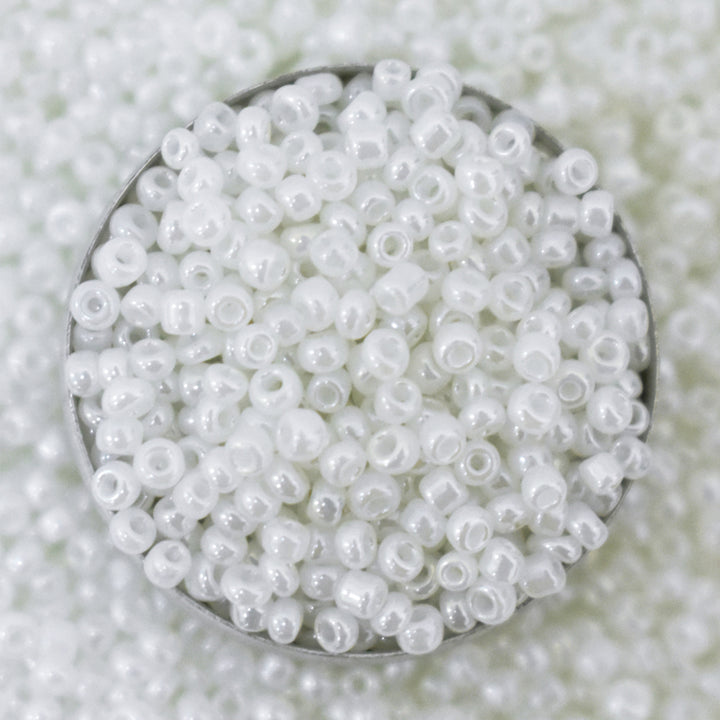 Seed Beads in Snow White Color 