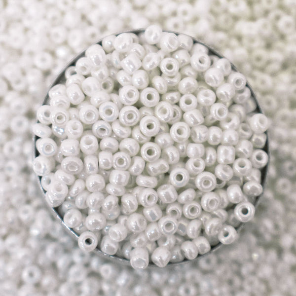 Seed Beads in White Color 