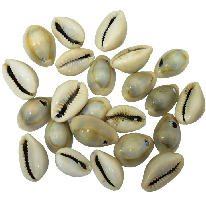 Cowries