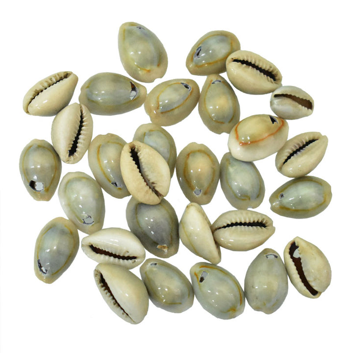 Cowries Shell Beads