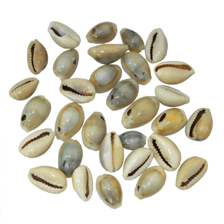 Cowries 