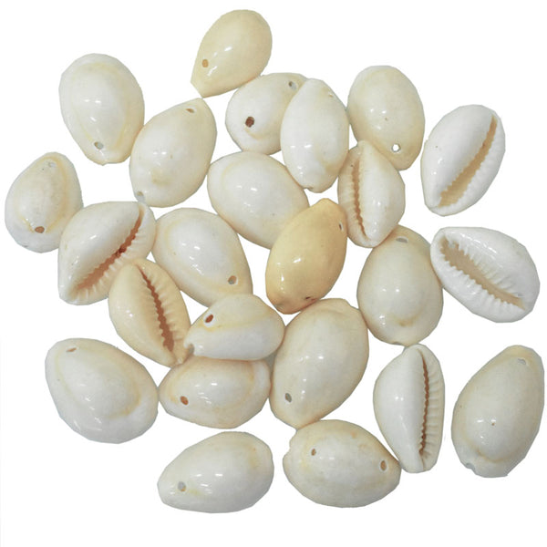 Shell beads online