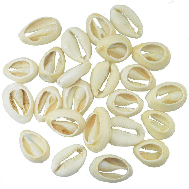 Buy Cowries Shell online at best prices – embroiderymaterial.com