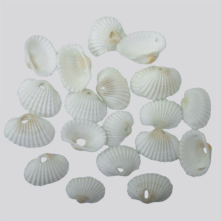 White Color Cup Shell Beads