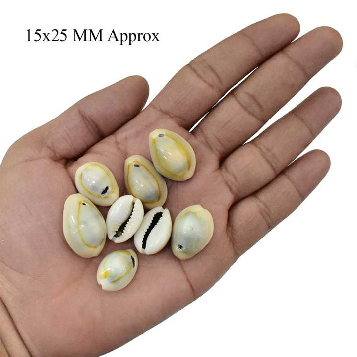 Cowries Shell Beads 