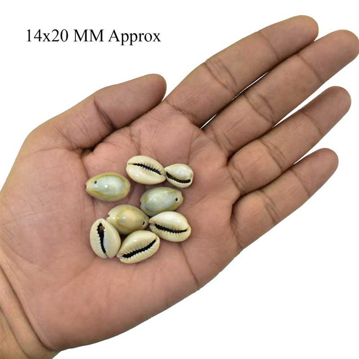 Single Hole Cowries Shell Beads