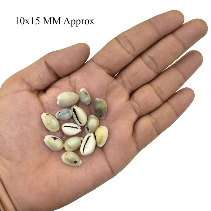 Shell Beads